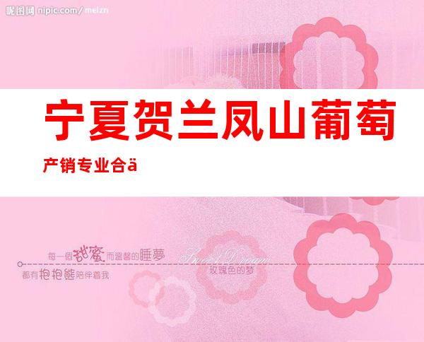 宁夏贺兰凤山葡萄产销专业合作社