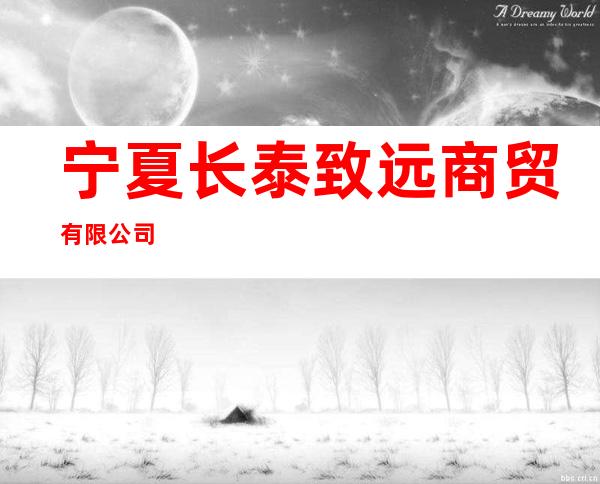 宁夏长泰致远商贸有限公司