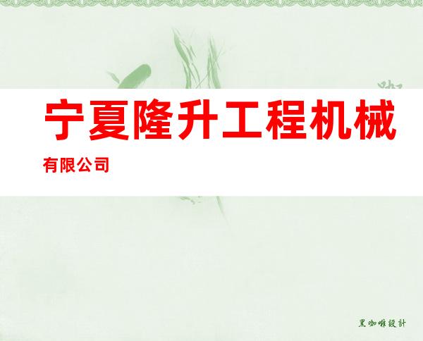 宁夏隆升工程机械有限公司