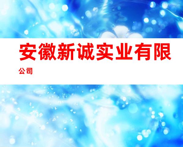 安徽新诚实业有限公司