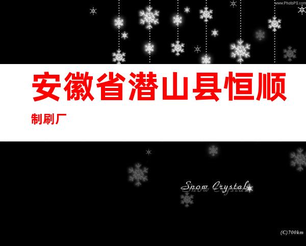 安徽省潜山县恒顺制刷厂