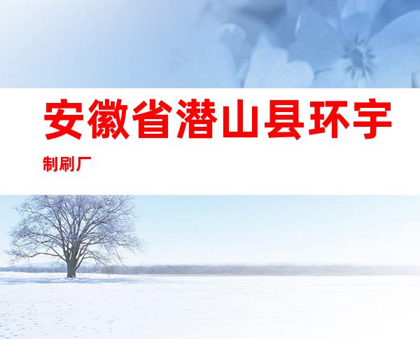 安徽省潜山县环宇制刷厂