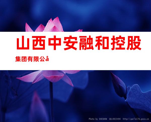 山西中安融和控股集团有限公司