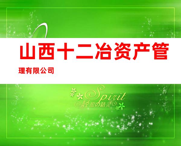山西十二冶资产管理有限公司