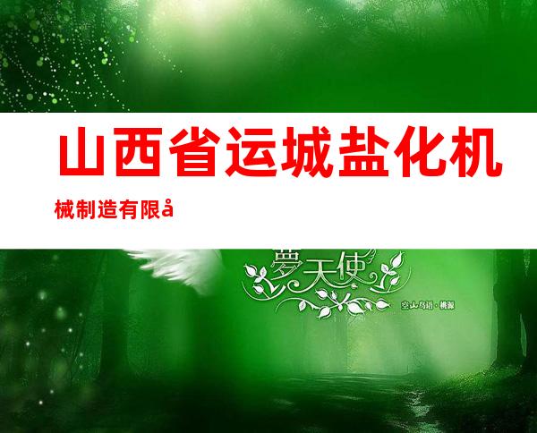 山西省运城盐化机械制造有限公司
