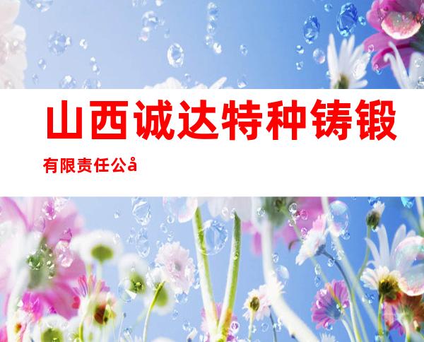 山西诚达特种铸锻有限责任公司