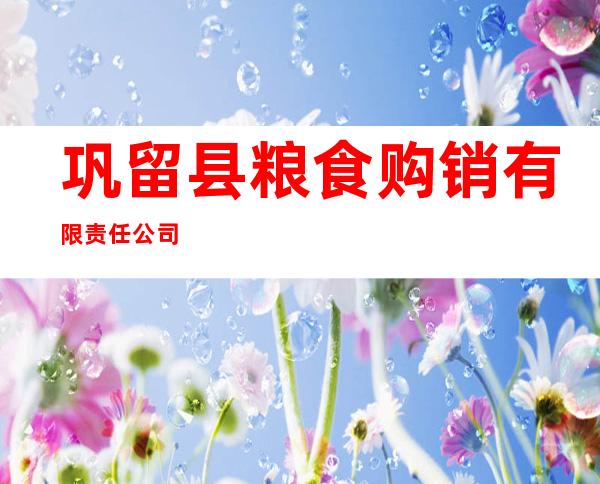 巩留县粮食购销有限责任公司