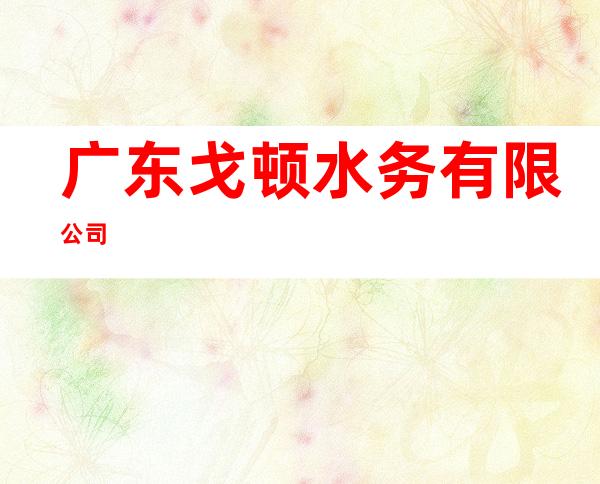 广东戈顿水务有限公司