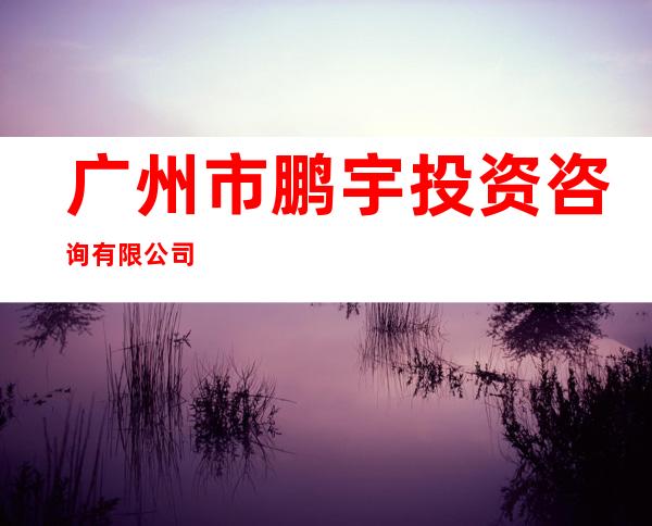 广州市鹏宇投资咨询有限公司