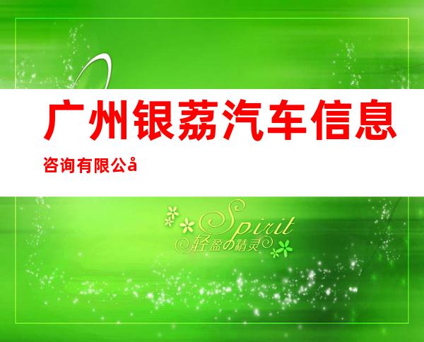 广州银荔汽车信息咨询有限公司