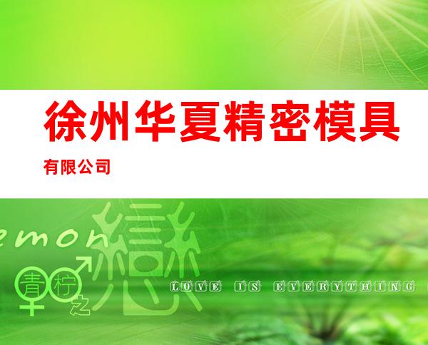 徐州华夏精密模具有限公司