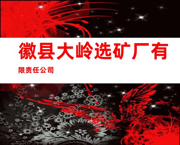 徽县大岭选矿厂有限责任公司