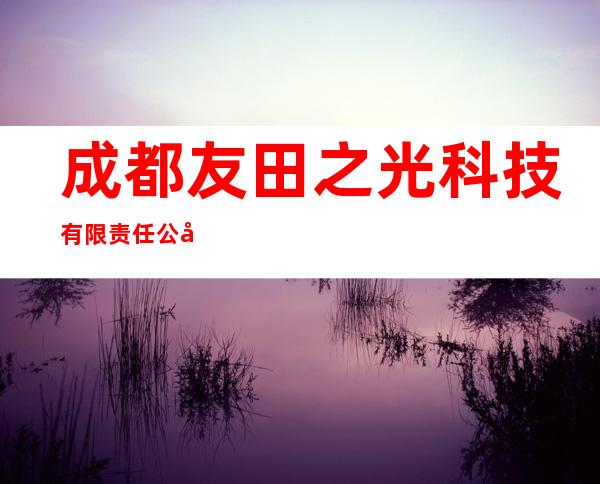 成都友田之光科技有限责任公司