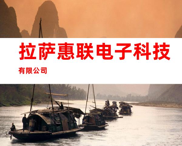 拉萨惠联电子科技有限公司