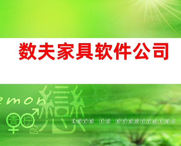 数夫家具软件公司