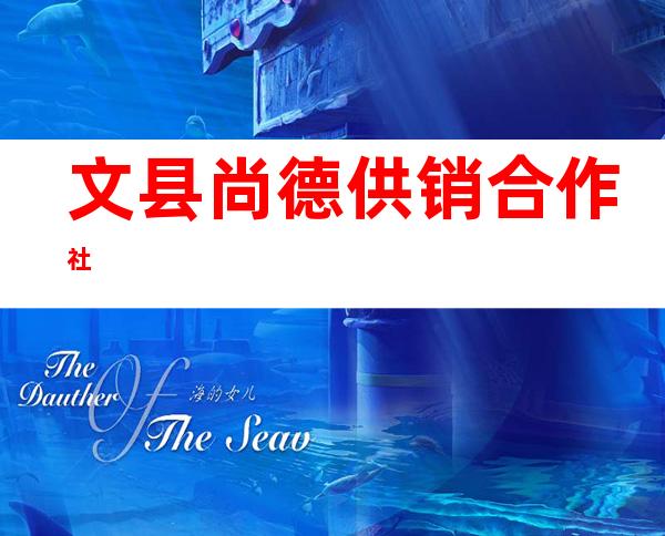 文县尚德供销合作社