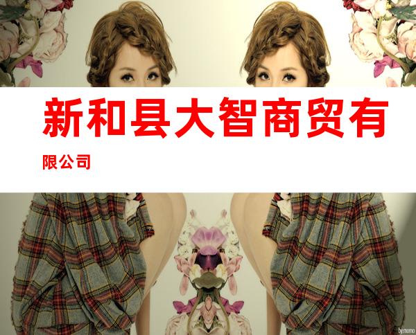 新和县大智商贸有限公司