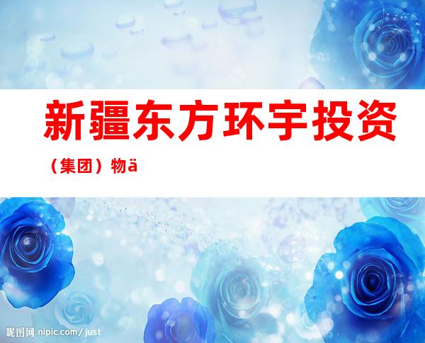 新疆东方环宇投资(集团)物业服务有限公司