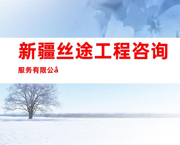 新疆丝途工程咨询服务有限公司