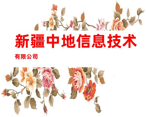新疆中地信息技术有限公司