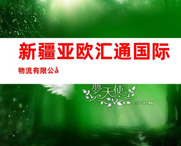 新疆亚欧汇通国际物流有限公司