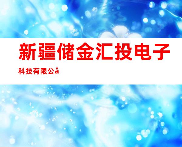 新疆储金汇投电子科技有限公司