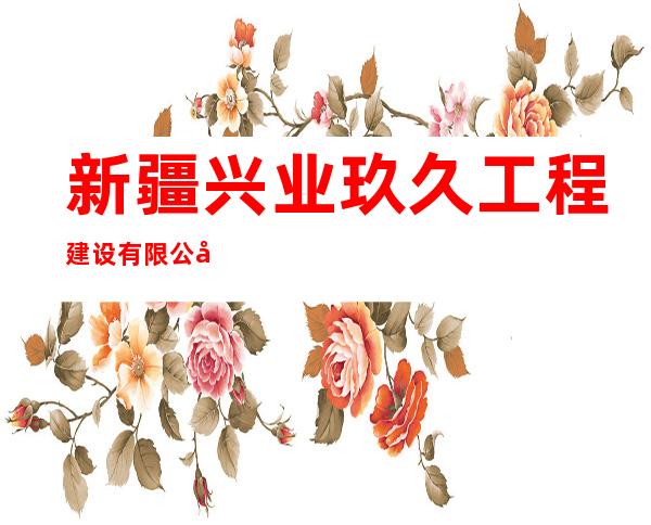 新疆兴业玖久工程建设有限公司