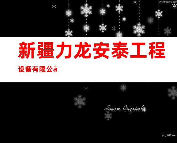 新疆力龙安泰工程设备有限公司