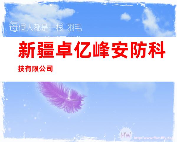 新疆卓亿峰安防科技有限公司