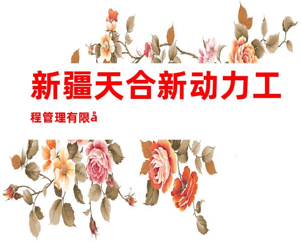 新疆天合新动力工程管理有限公司喀什分公司