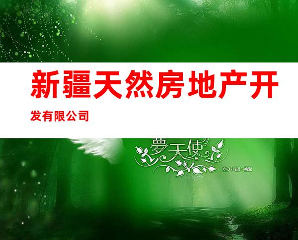 新疆天然房地产开发有限公司