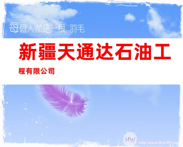 新疆天通达石油工程有限公司