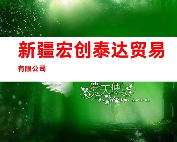 新疆宏创泰达贸易有限公司