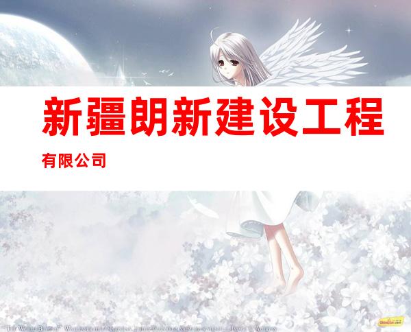 新疆朗新建设工程有限公司