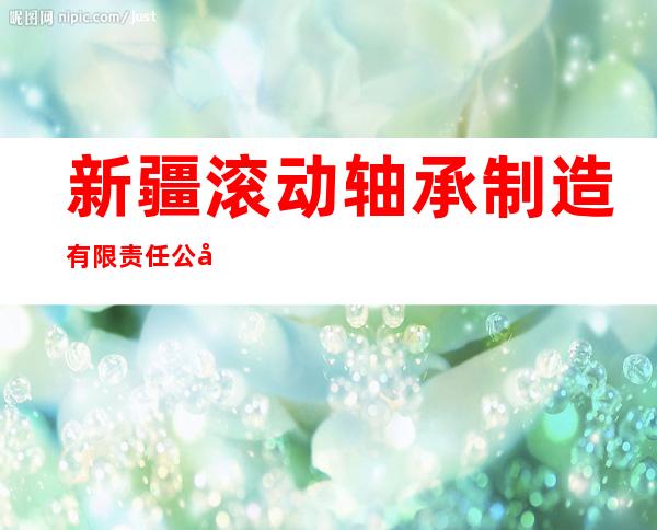 新疆滚动轴承制造有限责任公司