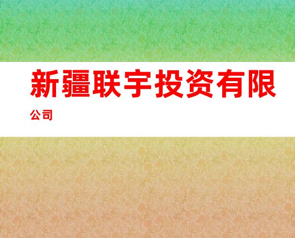 新疆联宇投资有限公司
