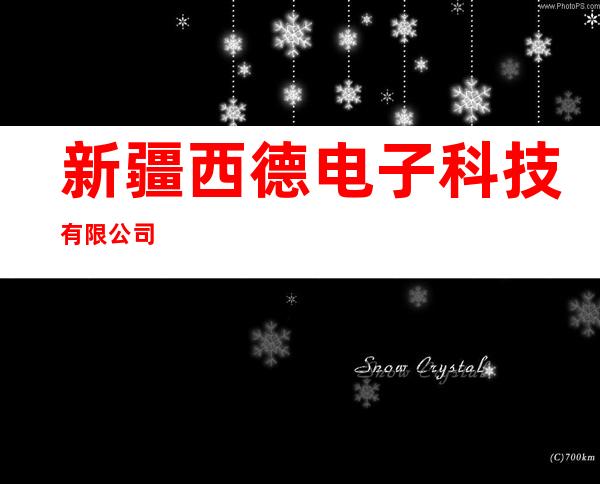 新疆西德电子科技有限公司