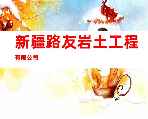 新疆路友岩土工程有限公司