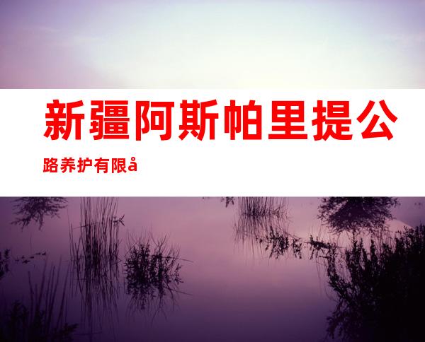 新疆阿斯帕里提公路养护有限公司