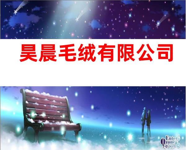 昊晨毛绒有限公司