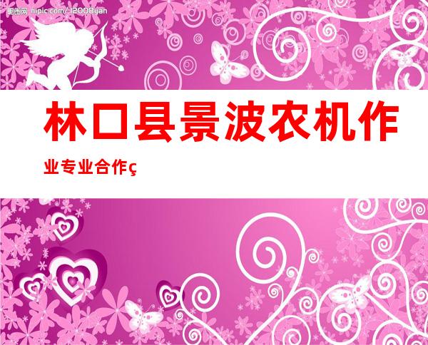 林口县景波农机作业专业合作社