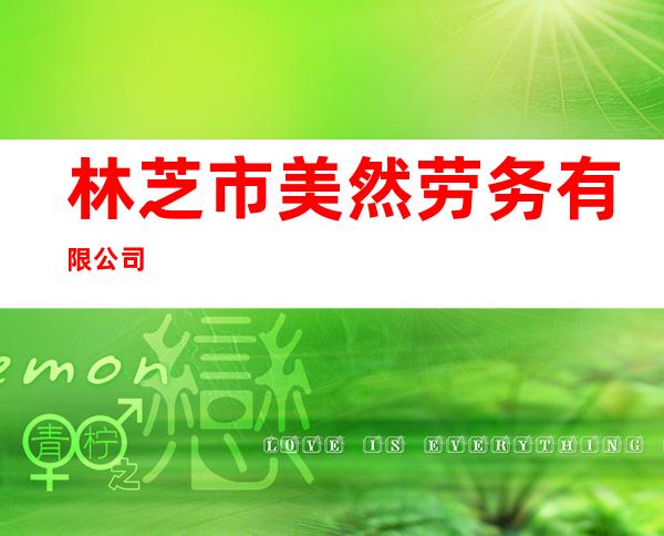 林芝市美然劳务有限公司