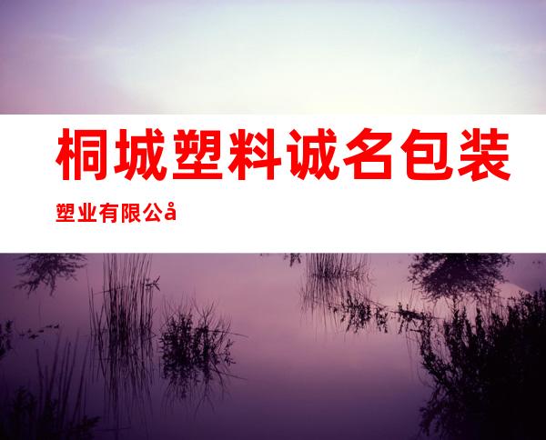 桐城塑料诚名包装塑业有限公司