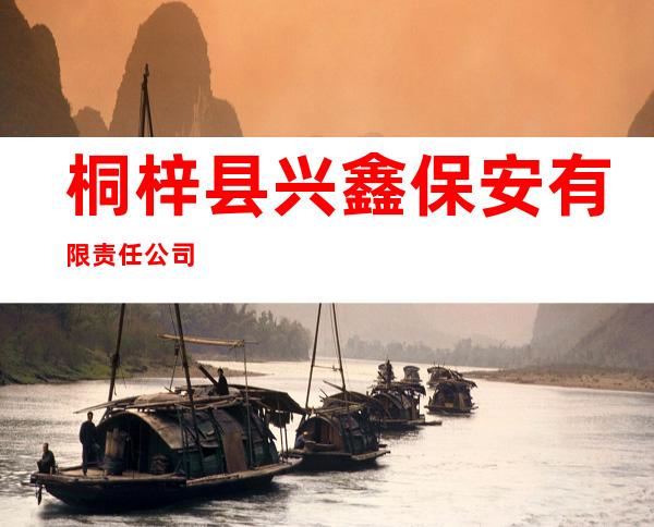 桐梓县兴鑫保安有限责任公司