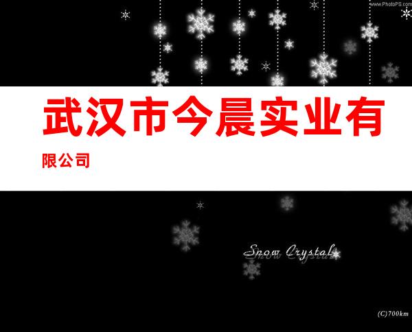 武汉市今晨实业有限公司