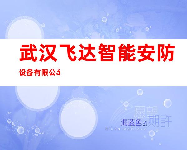 武汉飞达智能安防设备有限公司