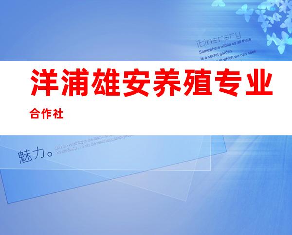 洋浦雄安养殖专业合作社