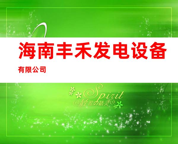海南丰禾发电设备有限公司