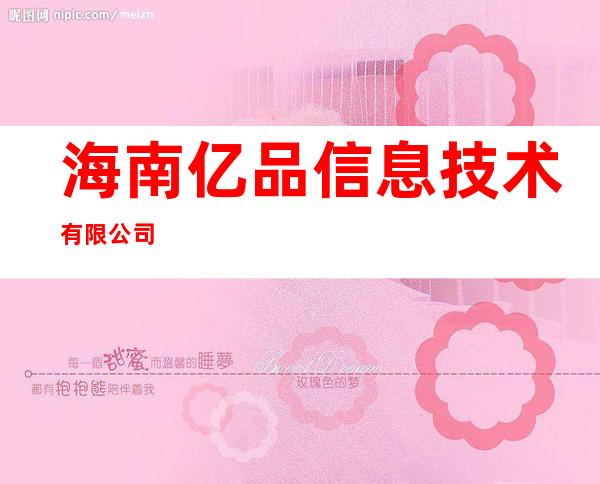 海南亿品信息技术有限公司