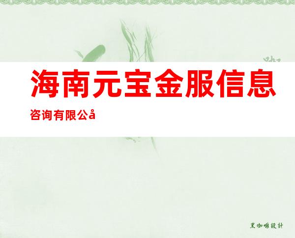 海南元宝金服信息咨询有限公司